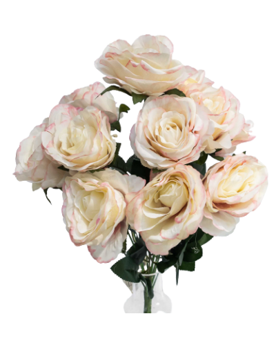 Bukiet Róż Biały - Ecru