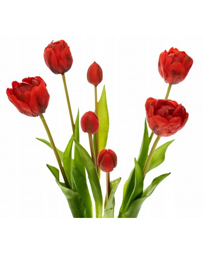Bukiet Tulipanów Pełnych