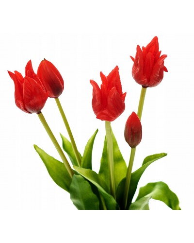 Bukiet Tulipanów Papuzich