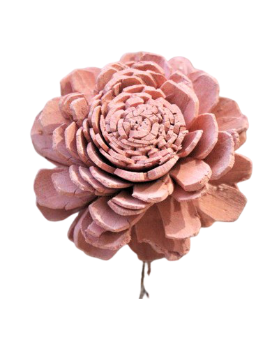  Róża Z Suszu Różowa Eco