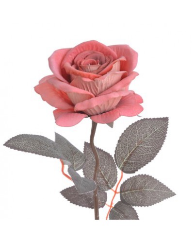 Róża Welurowa Gałązka Różowa