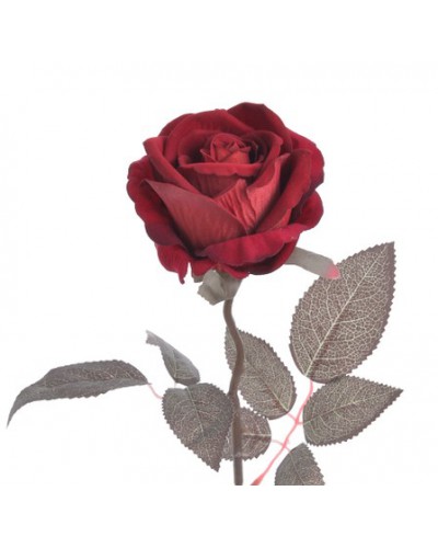 Róża Welurowa Gałązka Czerwona