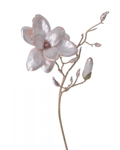Magnolia Gałązka Z Perłowym Połyskiem
