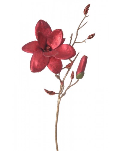 Magnolia Gałązka Kwiat Czerwony Z Brokatem