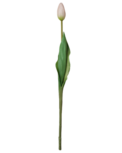 Tulipan Sztuczny
