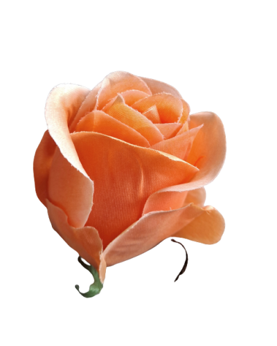 Róża Główka Wyrobowa
