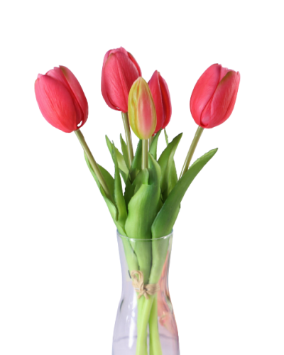 Tulipany Silikonowe Bukiet Tulipanów Jak Żywy