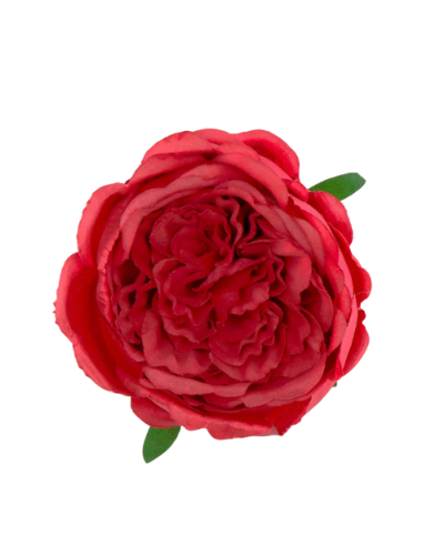 Główka Róży Wyrobowej
