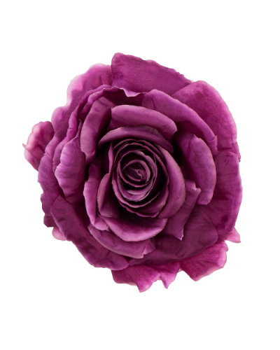 Główka Róży Wyrobowej