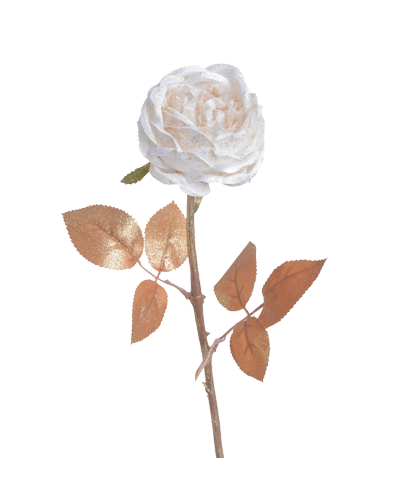 Gałązka Róży Brokacona