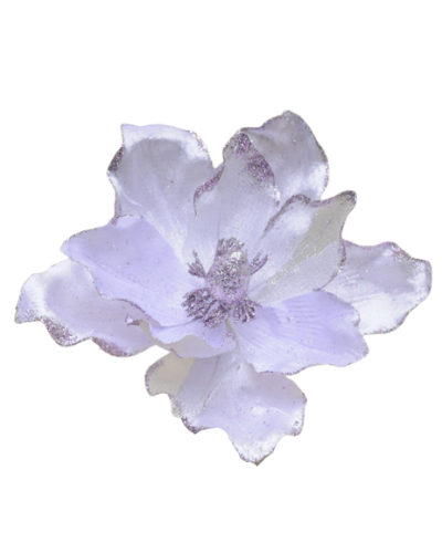 Kwiat Magnolia Na Choinkę