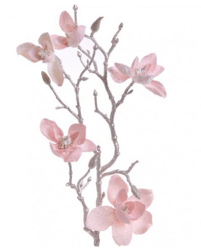 Ośnieżona Magnolia